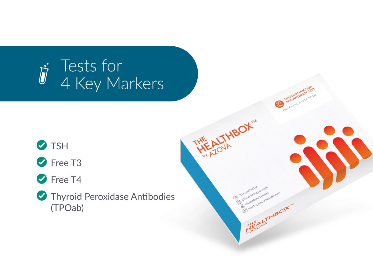 Thyroid Function and Antibody Test