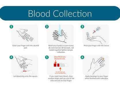 Inflammatory Markers Test with Ferritin